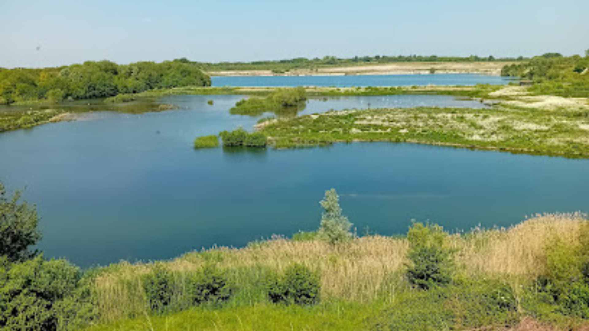 College Lake Nature Reserve