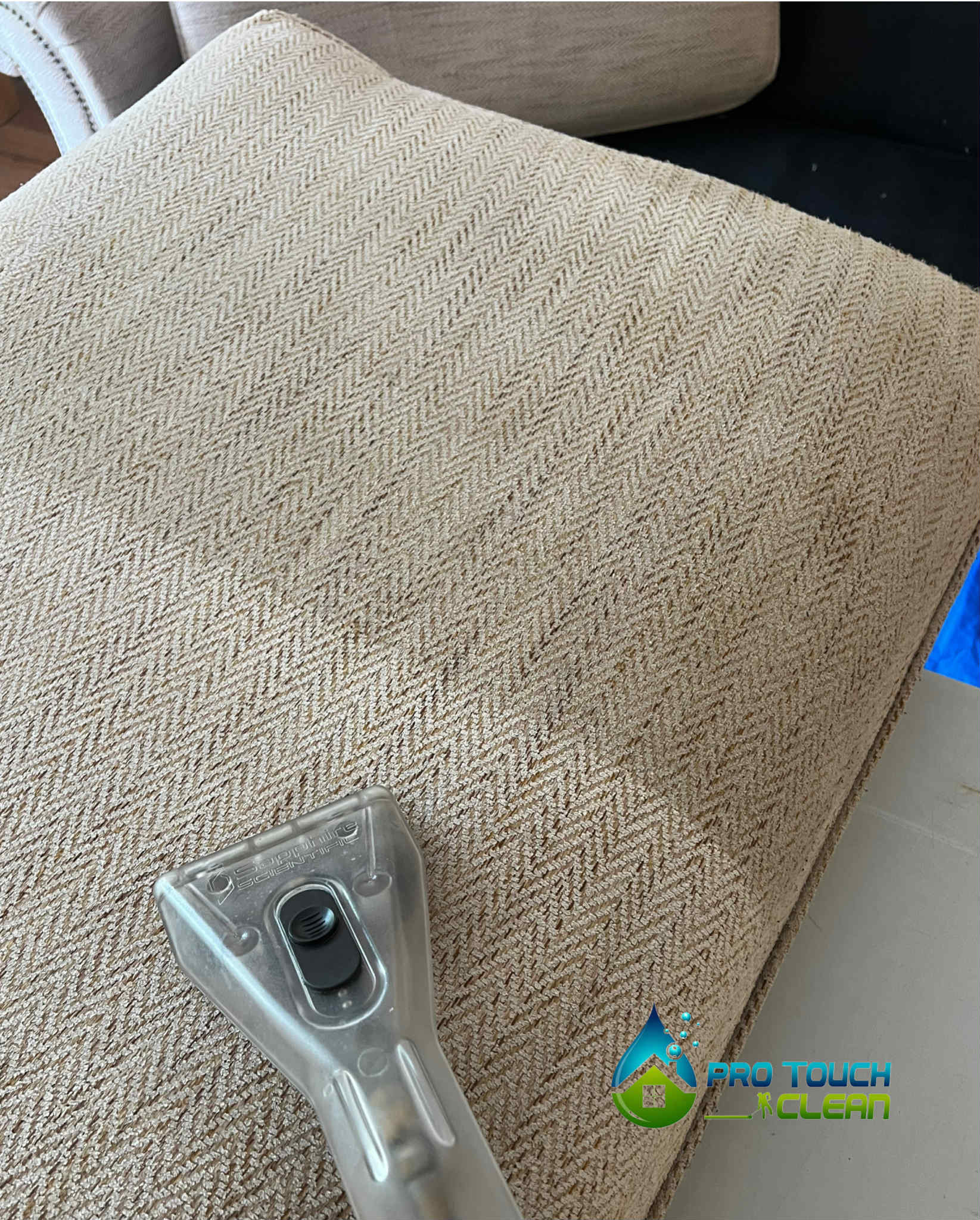 Upholstery Cleaning