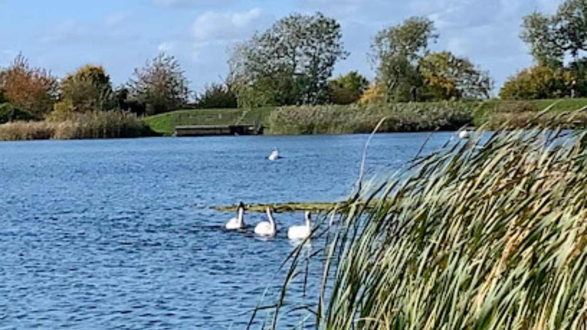 Weston Turville Reservoir