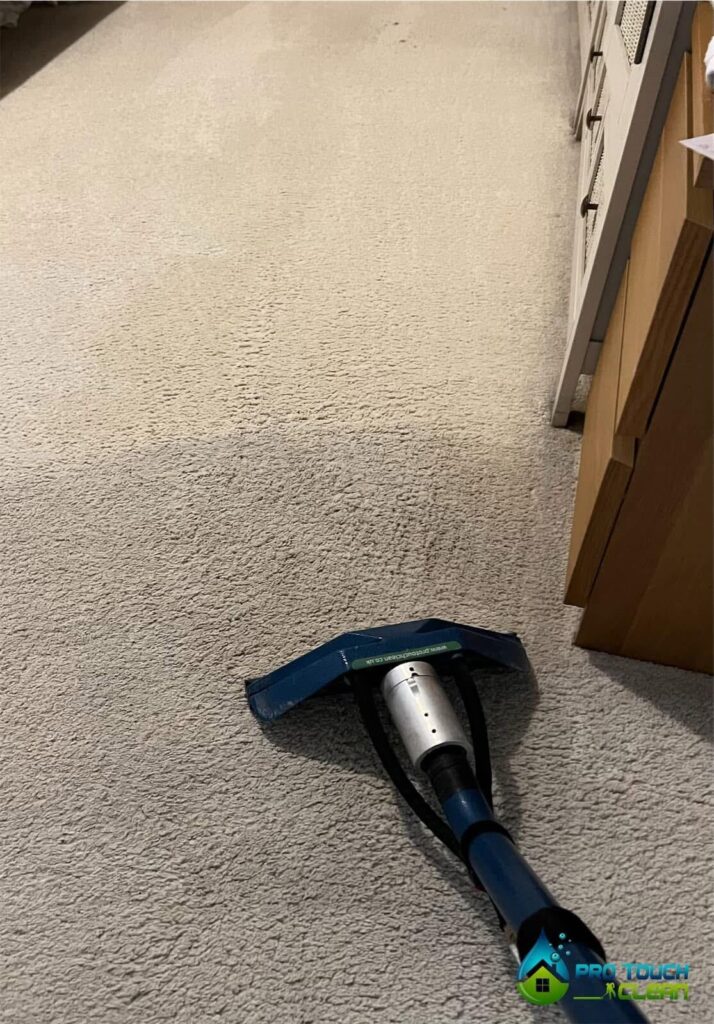 steam clean carpets, professional carpet cleaning Aylesbury,