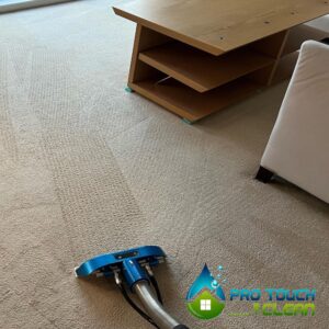 diy carpet cleaning